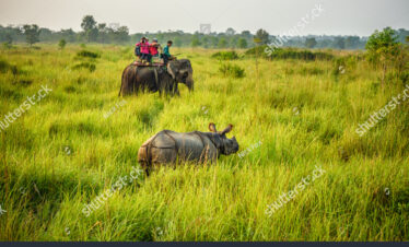 Chitwan National Park 4Days,3 Nights Tour