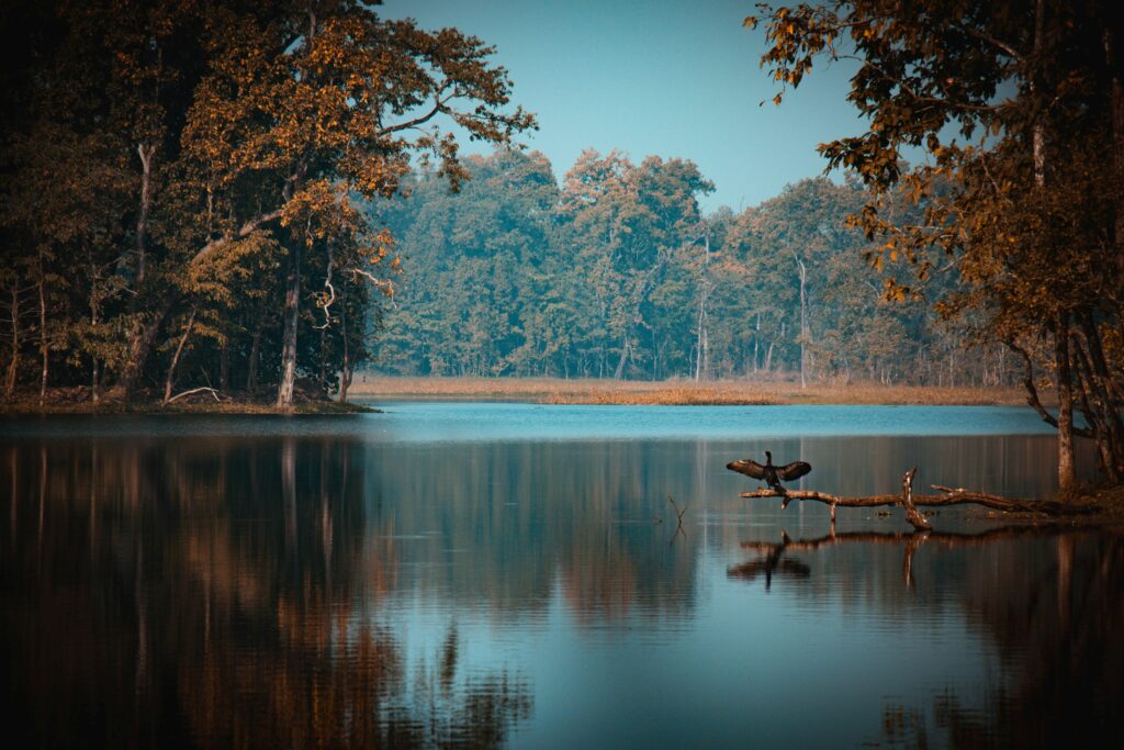 Nepal