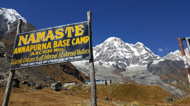 Annapurna Base Champ