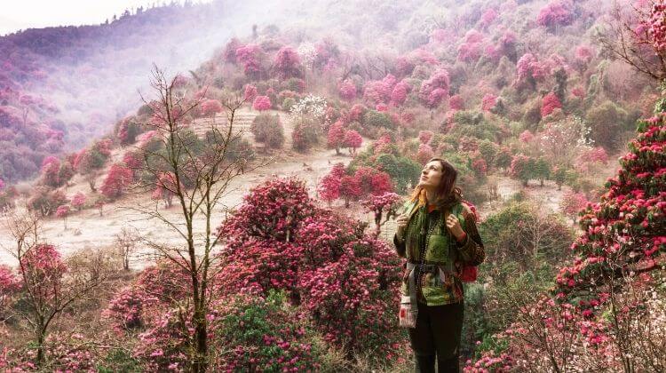 Autumn Nepal