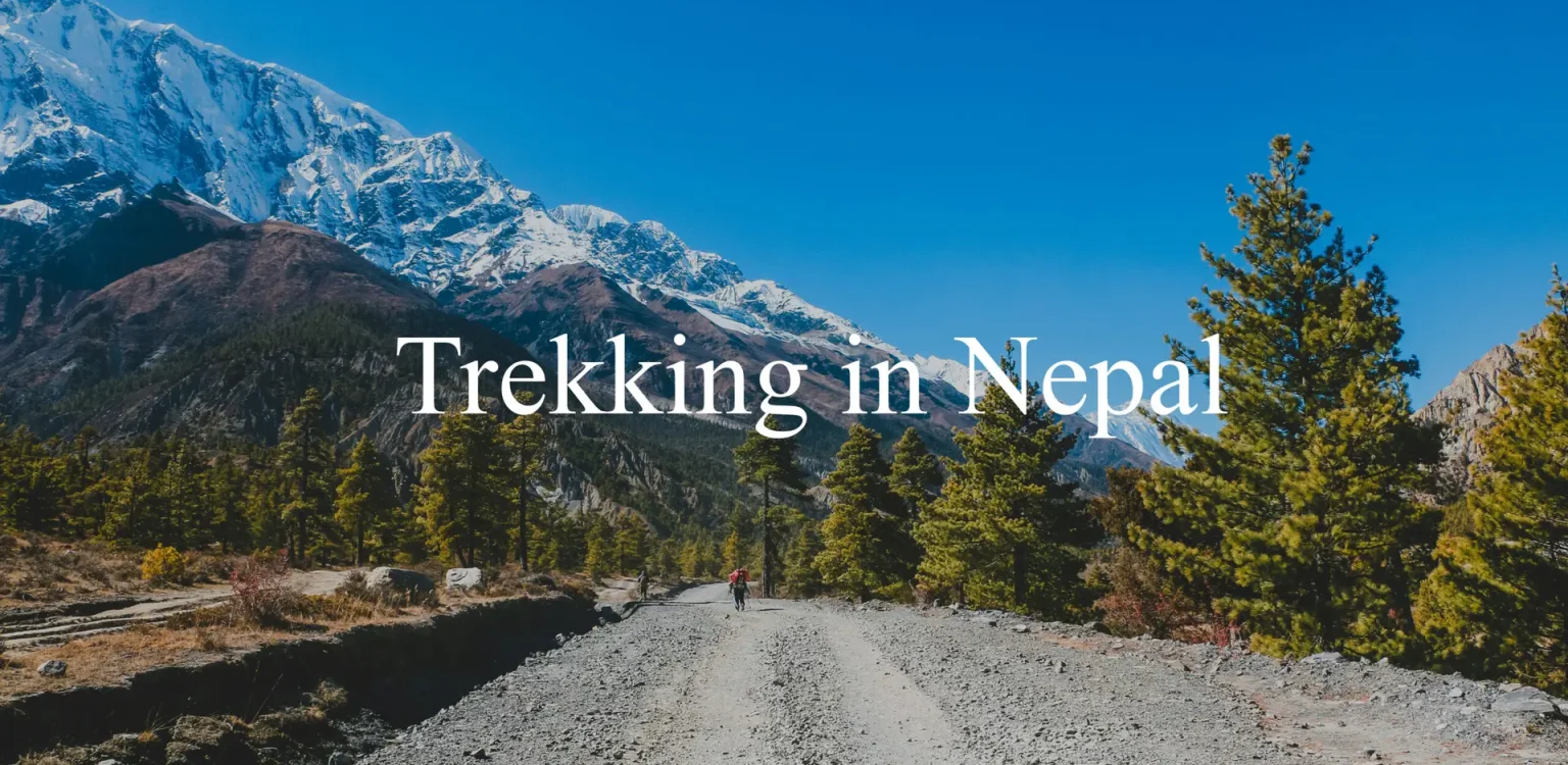 trekinnepal